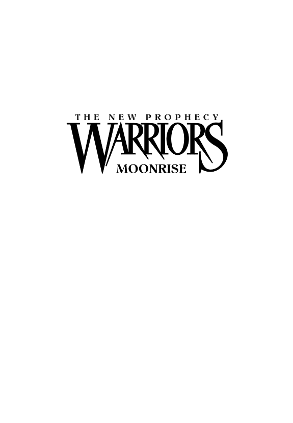 Moonrise book cover