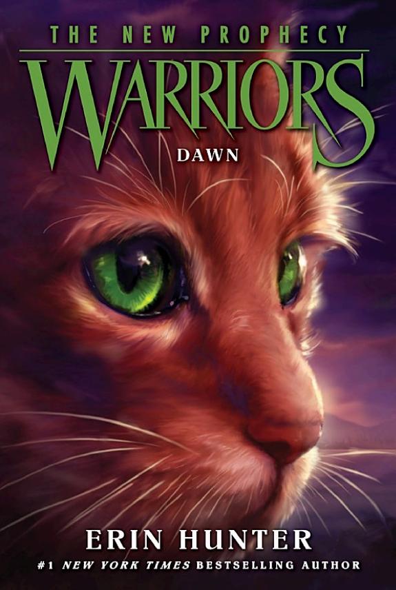 DAWN (Warriors: The New Prophecy, Book 3) book cover