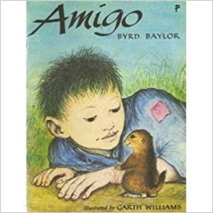 Amigo book cover