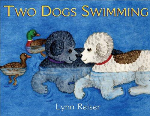 Two dogs swimming book cover