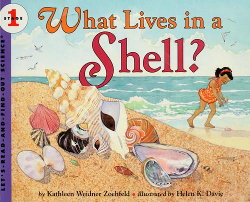 What Lives in a Shell book cover