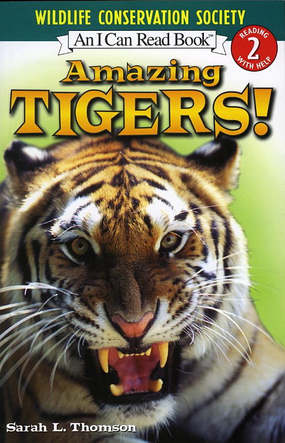 Amazing Tigers! book cover