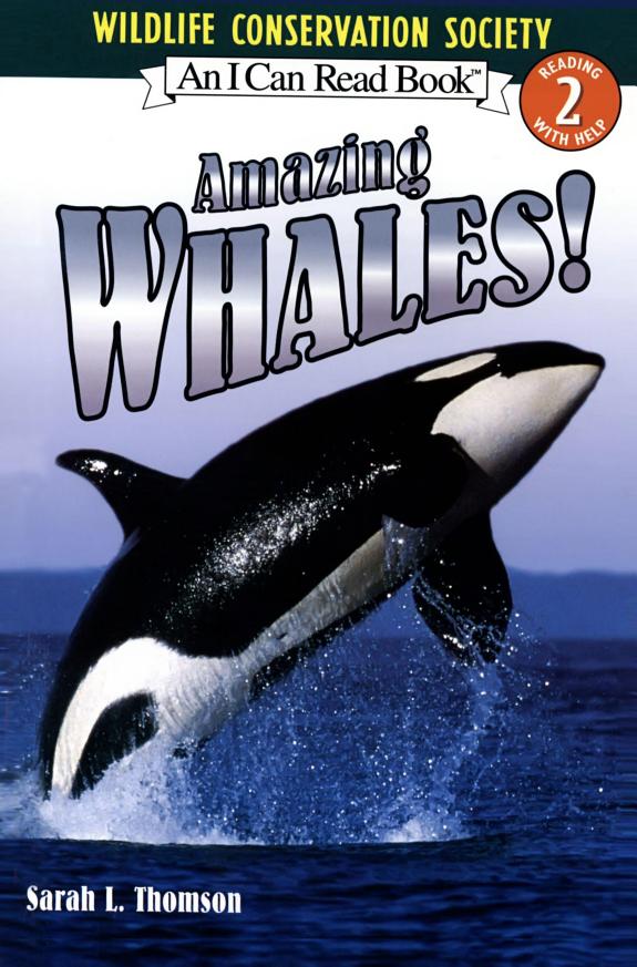 Amazing Whales! book cover