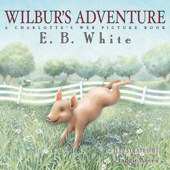 Wilbur's Adventure book cover
