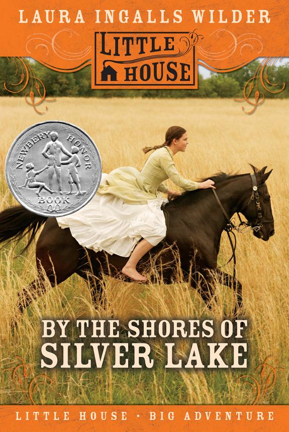 By the Shores of Silver Lake book cover