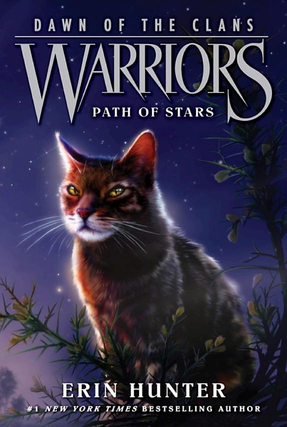 Warriors: Dawn of the Clans #6: Path of Stars book cover