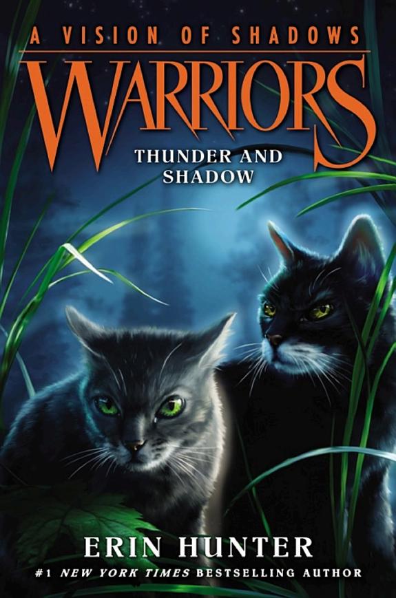 Warriors: A Vision of Shadows #2: Thunder and Shadow book cover