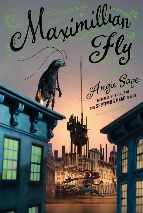 Maximillian Fly book cover
