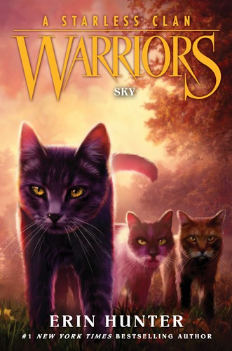 Warriors: a Starless Clan #2: Sky book cover