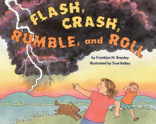 Flash, crash, rumble, and roll book cover