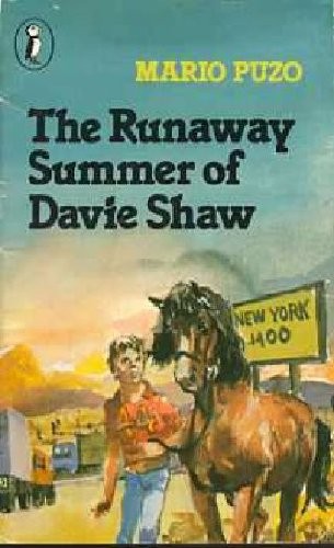 The Runaway Summer of Davie Shaw book cover