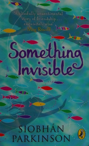 Something invisible book cover