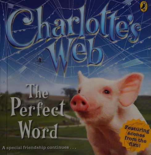 The Perfect Word book cover