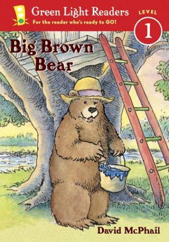 Big Brown Bear book cover