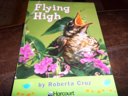 Flying High book cover