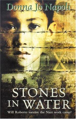 Stones in Water book cover