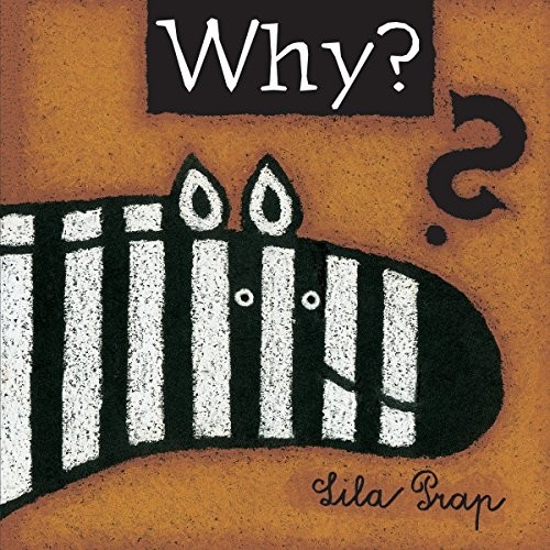 Why? book cover