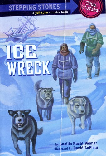Ice Wreck book cover