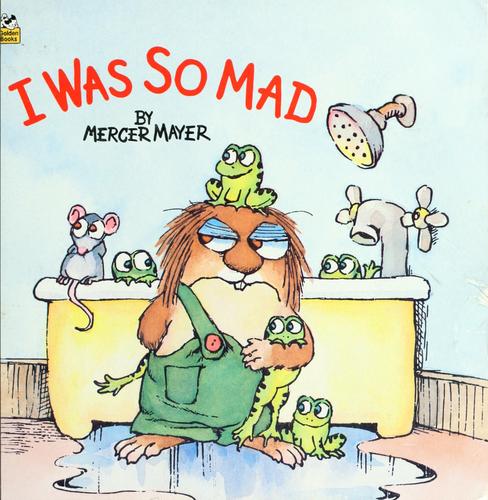 I Was So Mad book cover