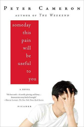 Someday This Pain Will Be Useful to You book cover