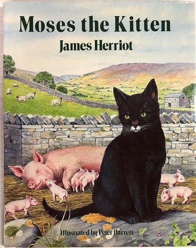 Moses the kitten book cover