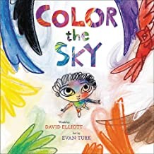 Color the Sky book cover