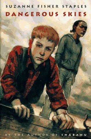 Dangerous skies book cover