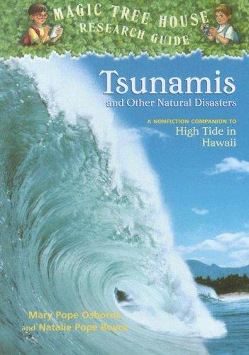 Tsunamis and Other Natural Disasters book cover