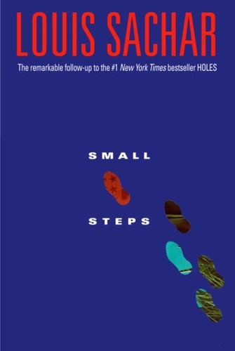 Small Steps book cover