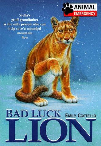 Bad luck lion book cover