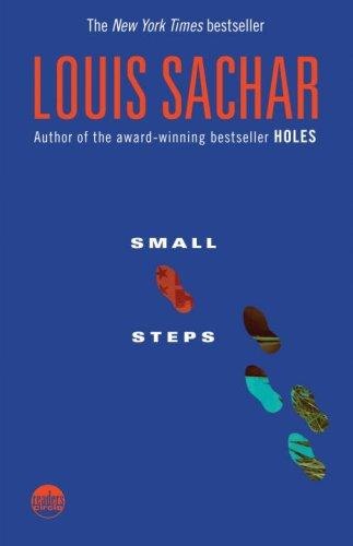 Small Steps book cover