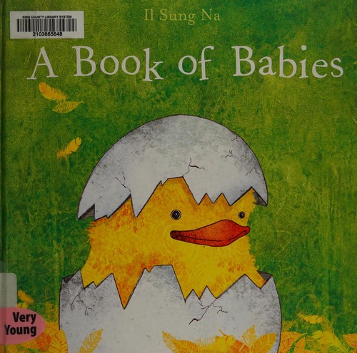 A Book of Babies book cover