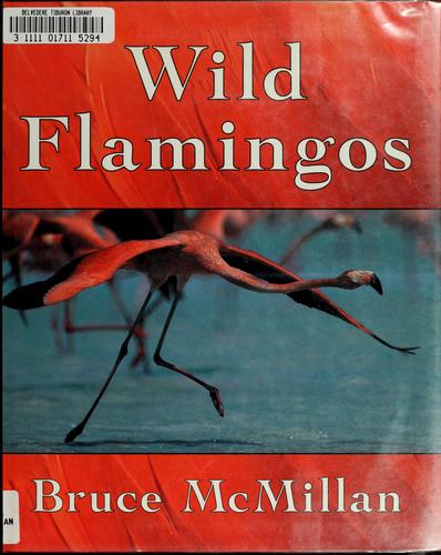 Wild flamingos book cover