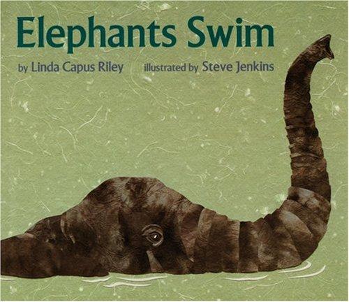 Elephants Swim book cover
