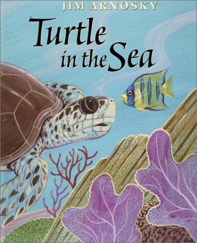 Turtle in the sea book cover