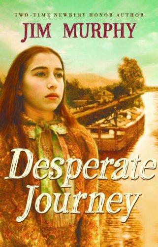 Desperate Journey book cover