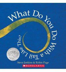 What do you do with a tail like this? book cover