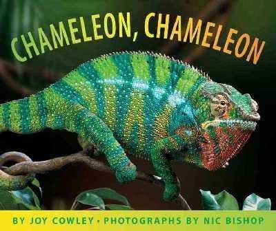 Chameleon, chameleon book cover
