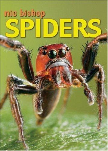 Nic Bishop Spiders book cover