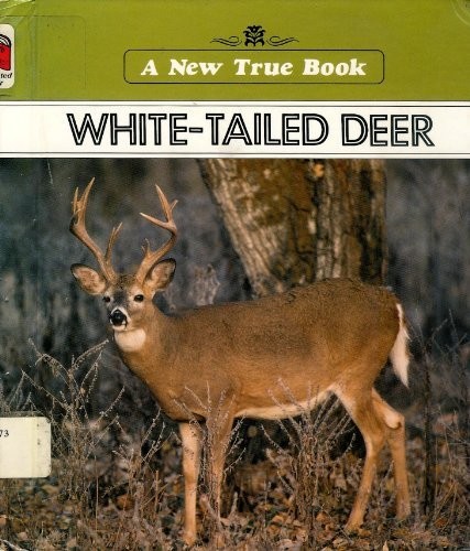 White-tailed deer book cover