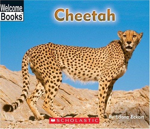 Cheetah book cover