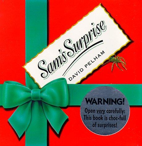 Sam's Surprise book cover