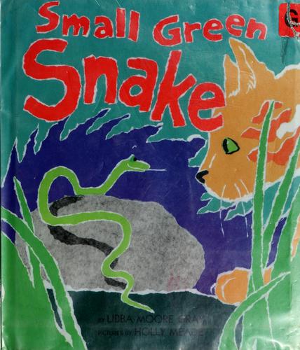 Small Green Snake book cover