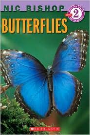 Butterflies book cover