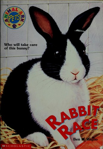 Rabbit race book cover