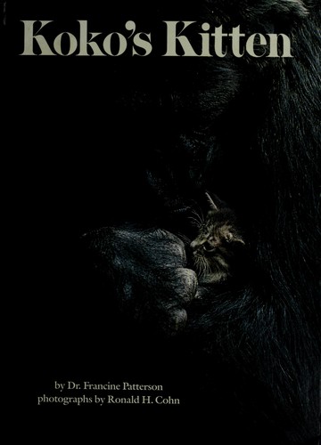 Koko's kitten book cover