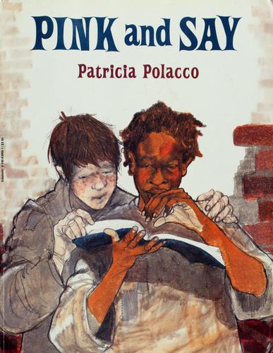 Pink and Say book cover