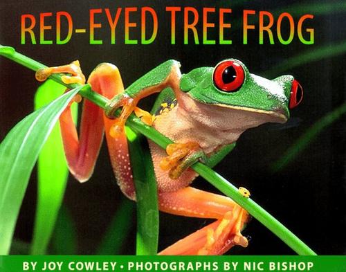 Red-eyed tree frog book cover