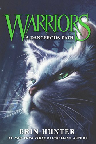 A Dangerous Path book cover