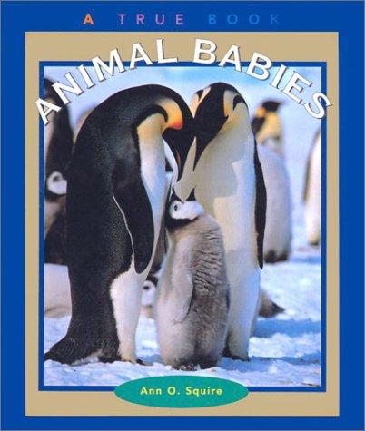 Animal Babies book cover